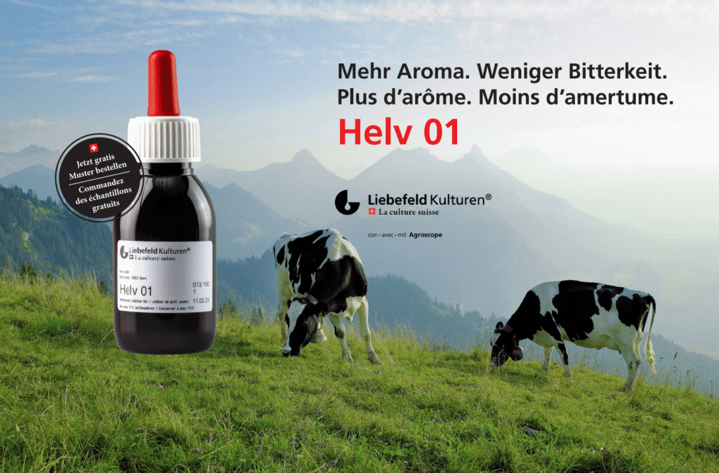 Reifungskultur Helv 01 – mehr Aroma, weniger Bitterkeit