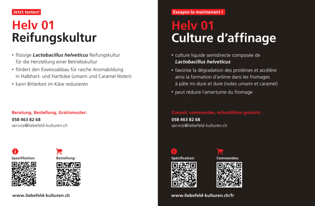 Informationsblatt Reifungskultur Helv 01